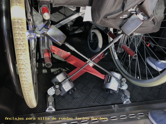 Sujección de silla de ruedas Torino Burdeos