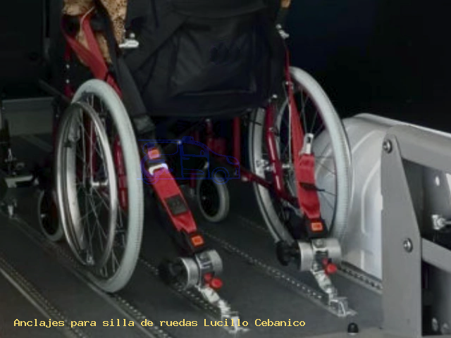 Anclajes silla de ruedas Lucillo Cebanico