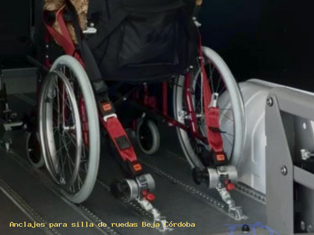 Sujección de silla de ruedas Beja Córdoba