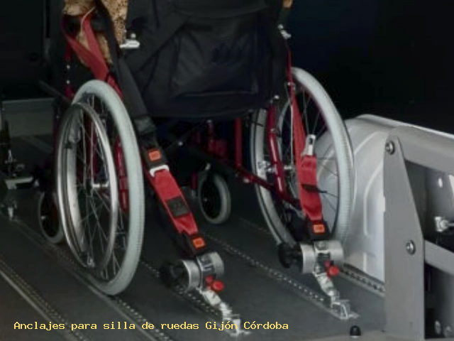 Anclajes silla de ruedas Gijón Córdoba