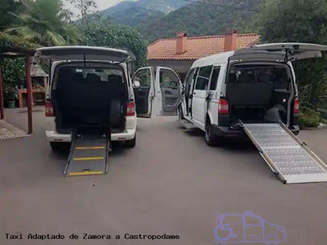Taxi accesible de Castropodame a Zamora