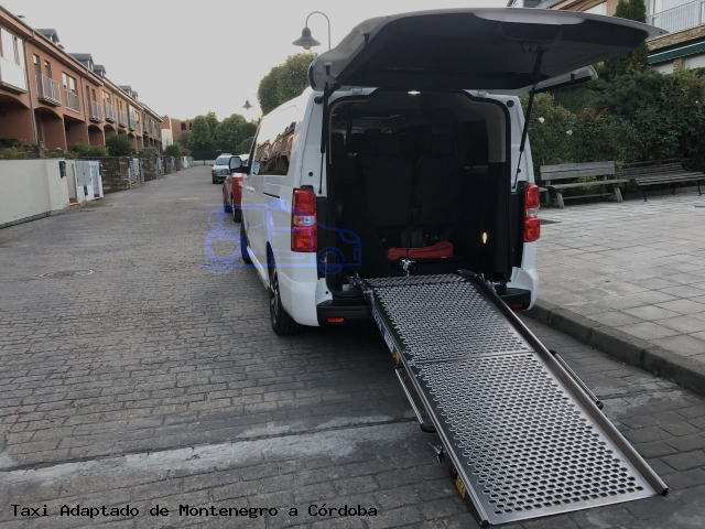 Taxi accesible de Córdoba a Montenegro